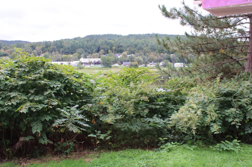 17 Hilltop Road Lisbon NH 03585