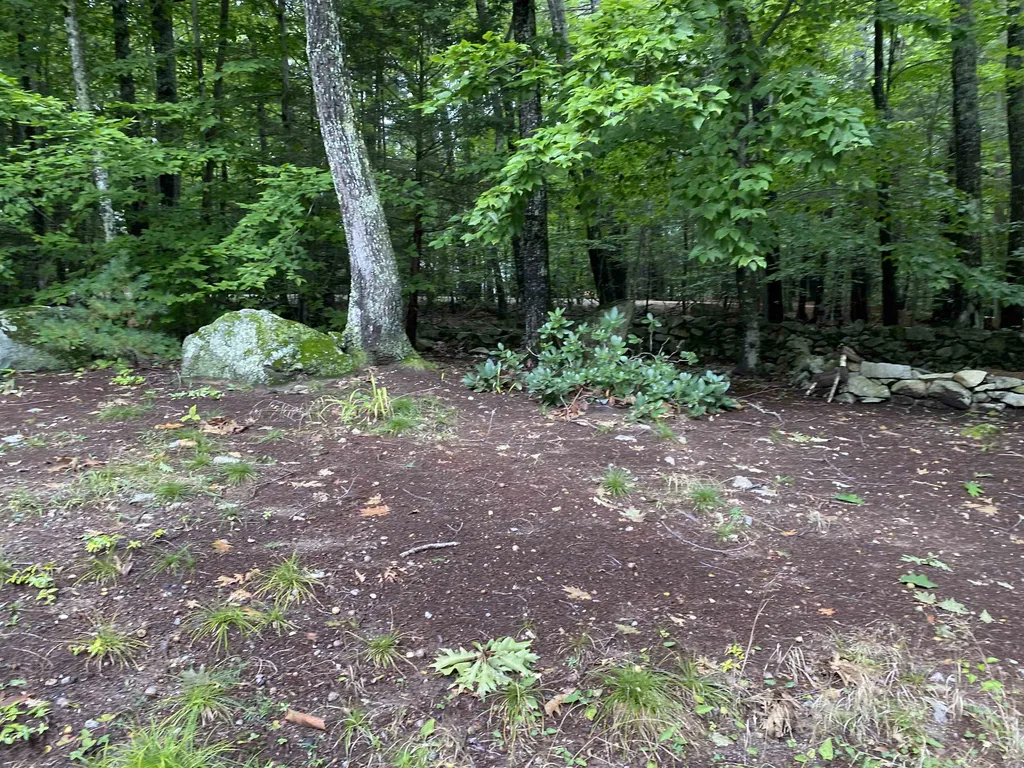 17 Eagle Trace Wolfeboro NH 03894