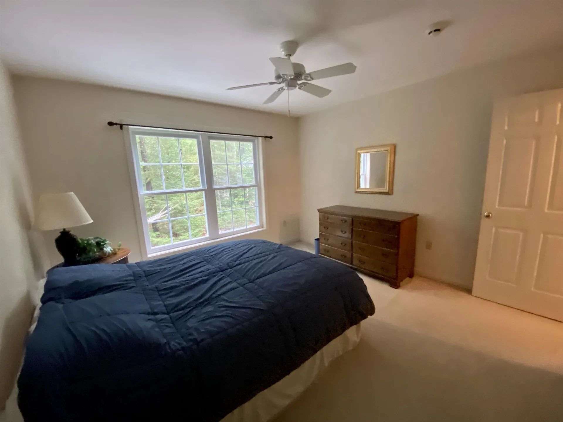 17 Eagle Trace Wolfeboro NH 03894