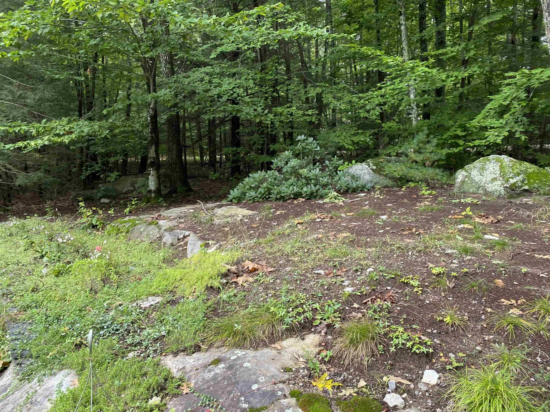 17 Eagle Trace Wolfeboro NH 03894