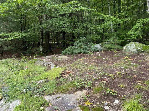 17 Eagle Trace Wolfeboro NH 03894