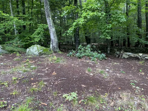 17 Eagle Trace Wolfeboro NH 03894
