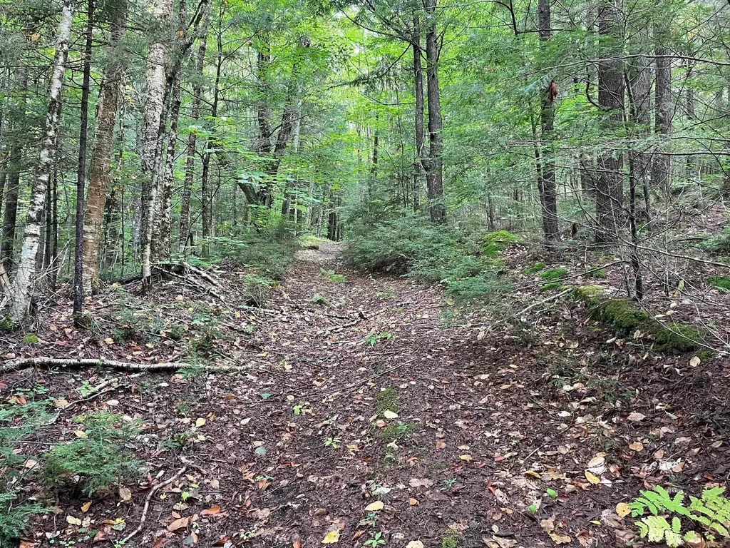 3000 Chelsea Road Corinth VT 05039
