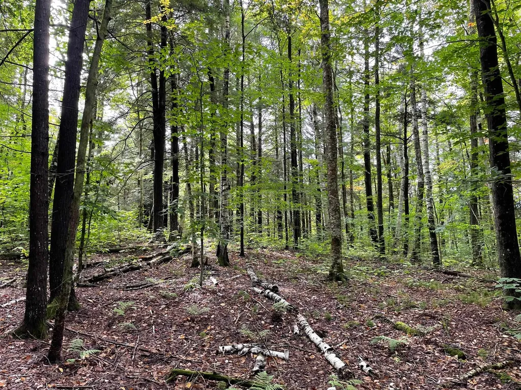3000 Chelsea Road Corinth VT 05039
