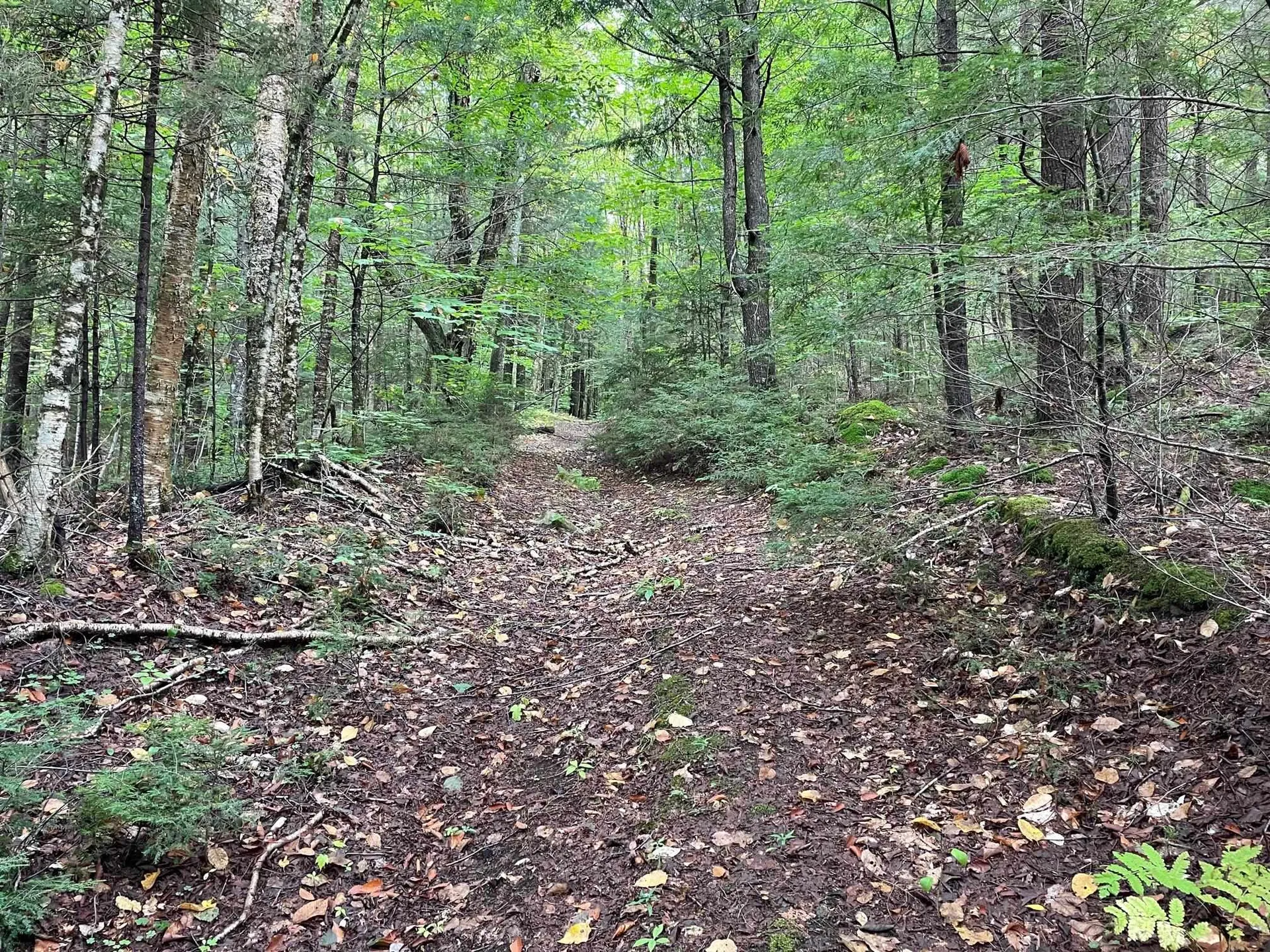 3000 Chelsea Road Corinth VT 05039