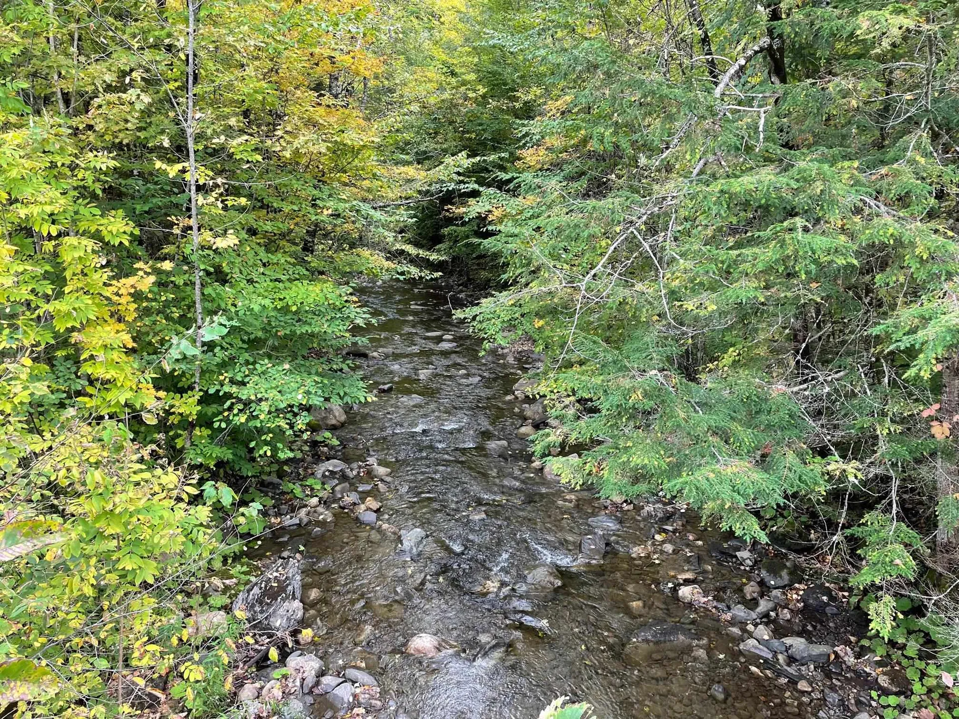 3000 Chelsea Road Corinth VT 05039