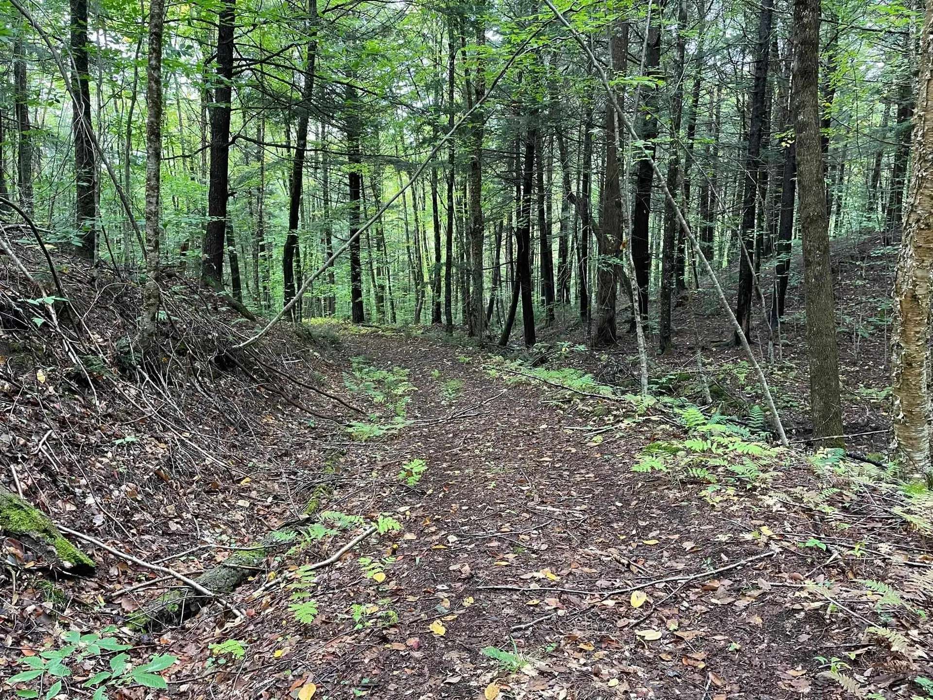 3000 Chelsea Road Corinth VT 05039