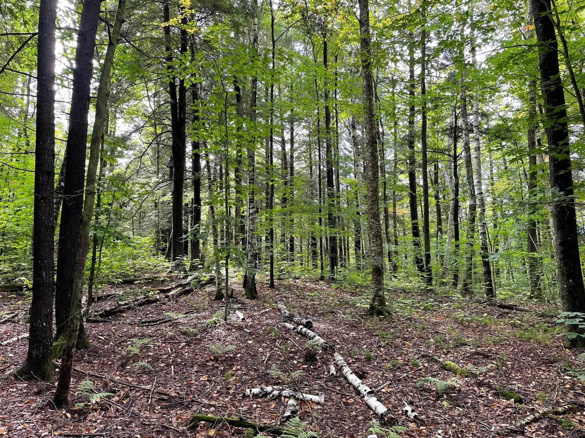 3000 Chelsea Road Corinth VT 05039