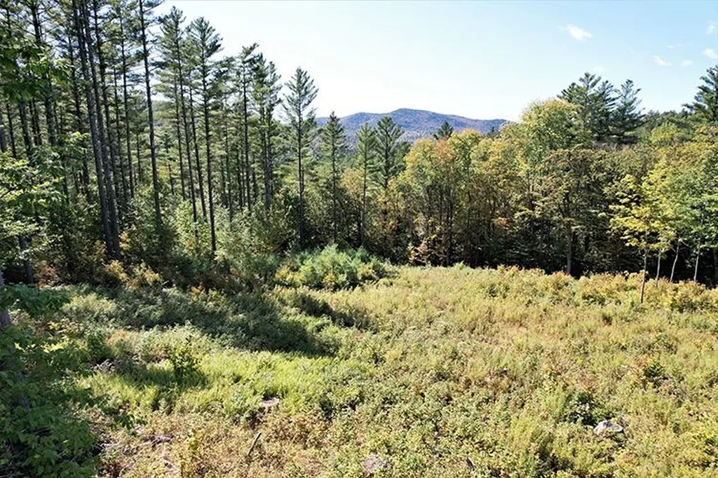 00 Mcintosh Hill Road Bethel VT 05060