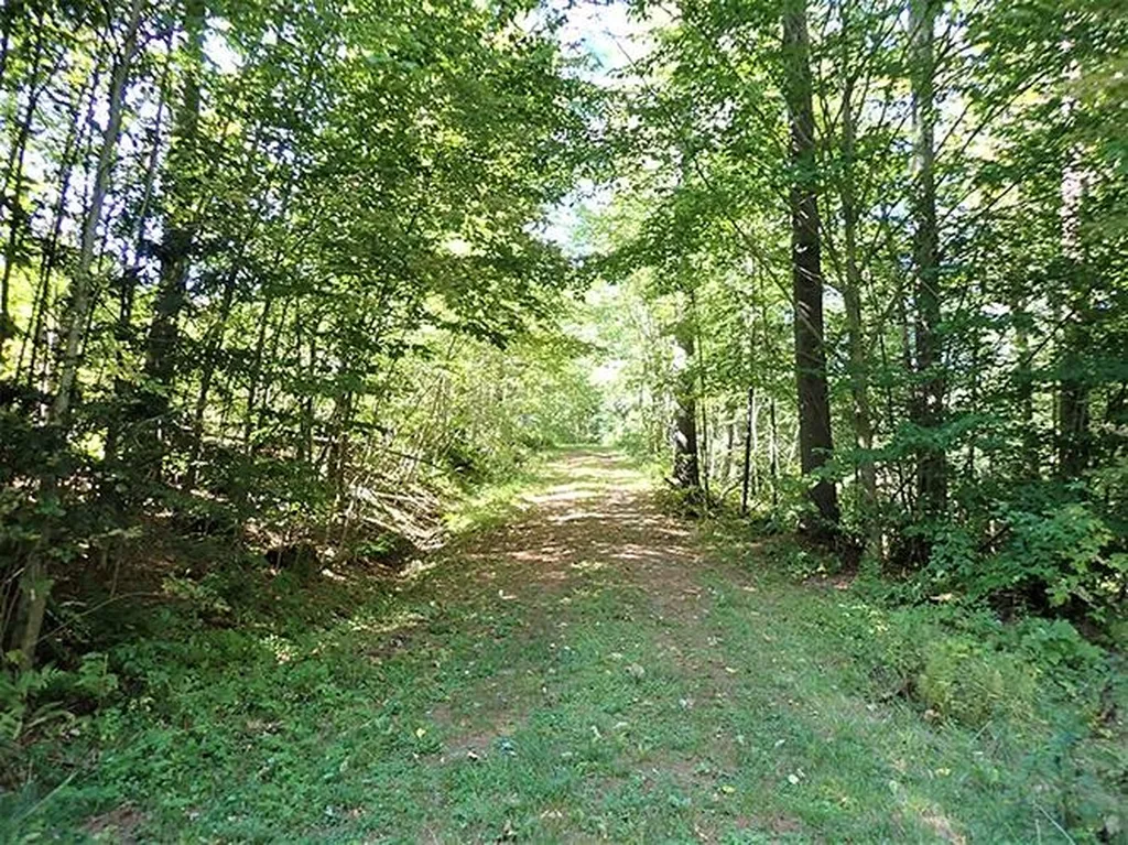 00 Mcintosh Hill Road Bethel VT 05060
