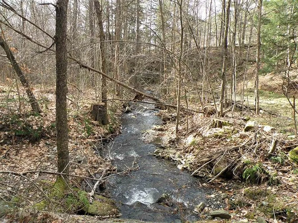 00 Mcintosh Hill Road Bethel VT 05060