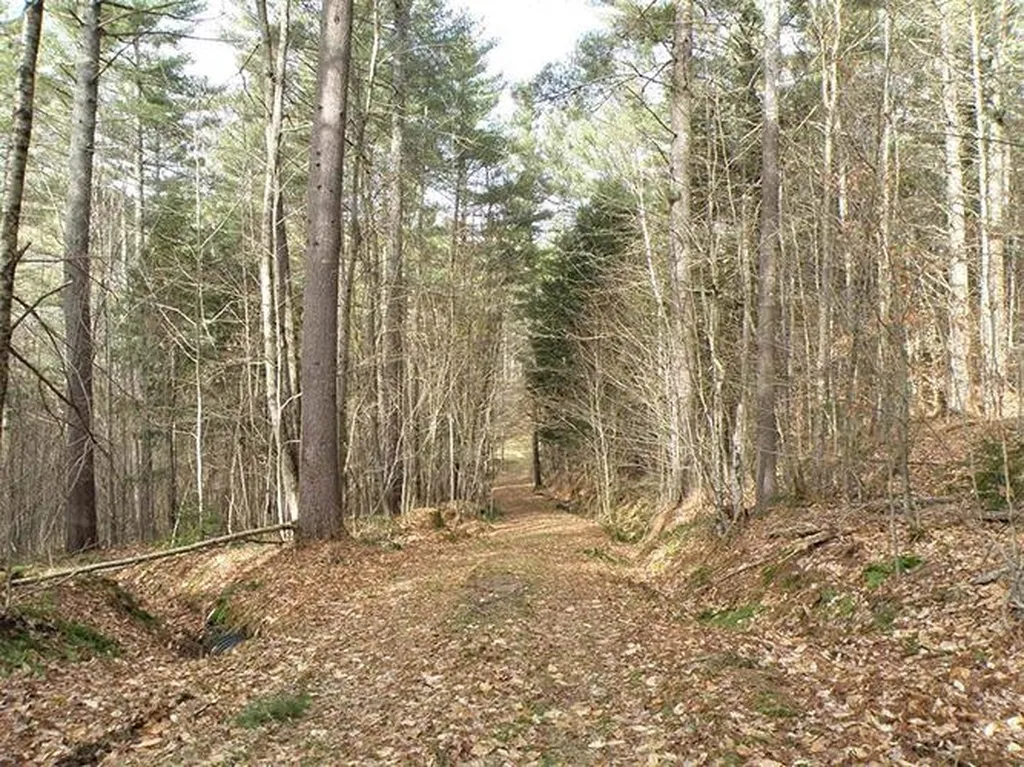 00 Mcintosh Hill Road Bethel VT 05060