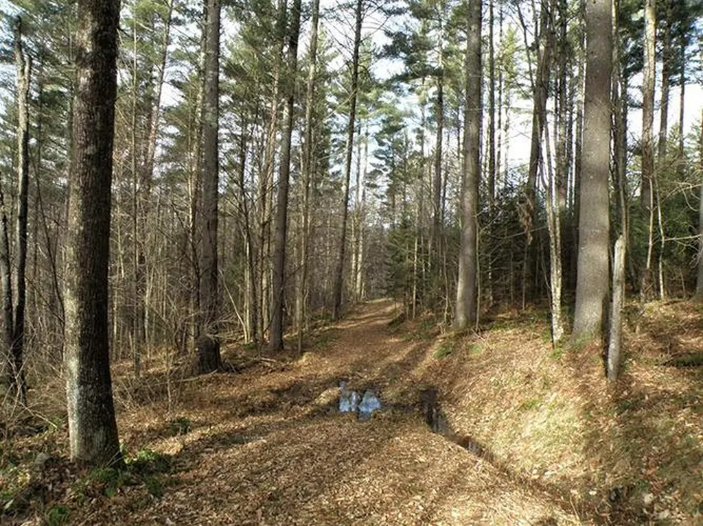 00 Mcintosh Hill Road Bethel VT 05060