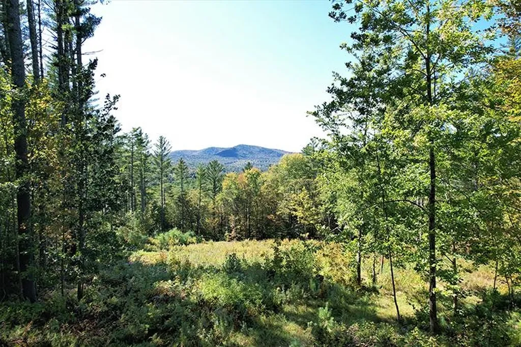 00 Mcintosh Hill Road Bethel VT 05060