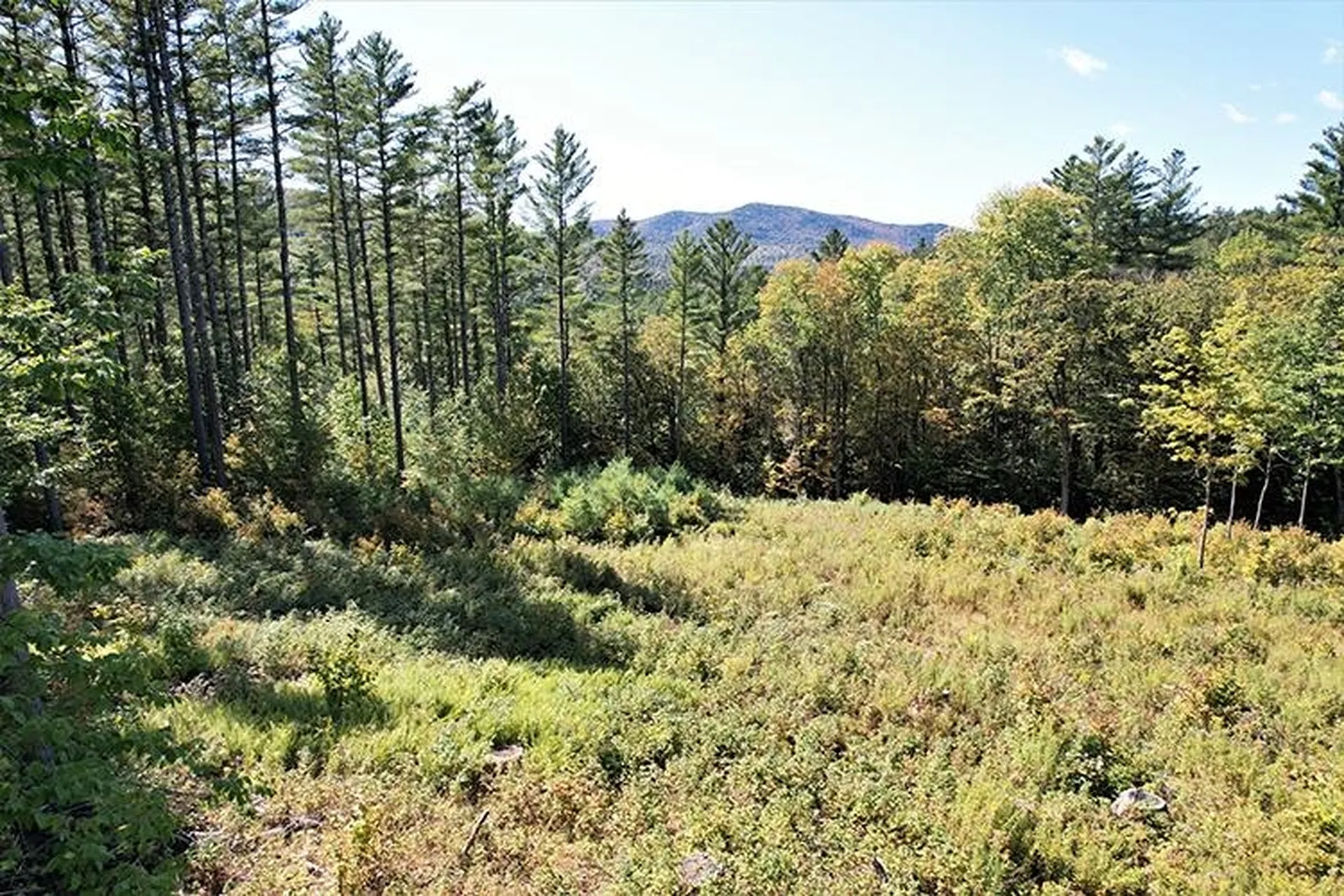 00 Mcintosh Hill Road Bethel VT 05060