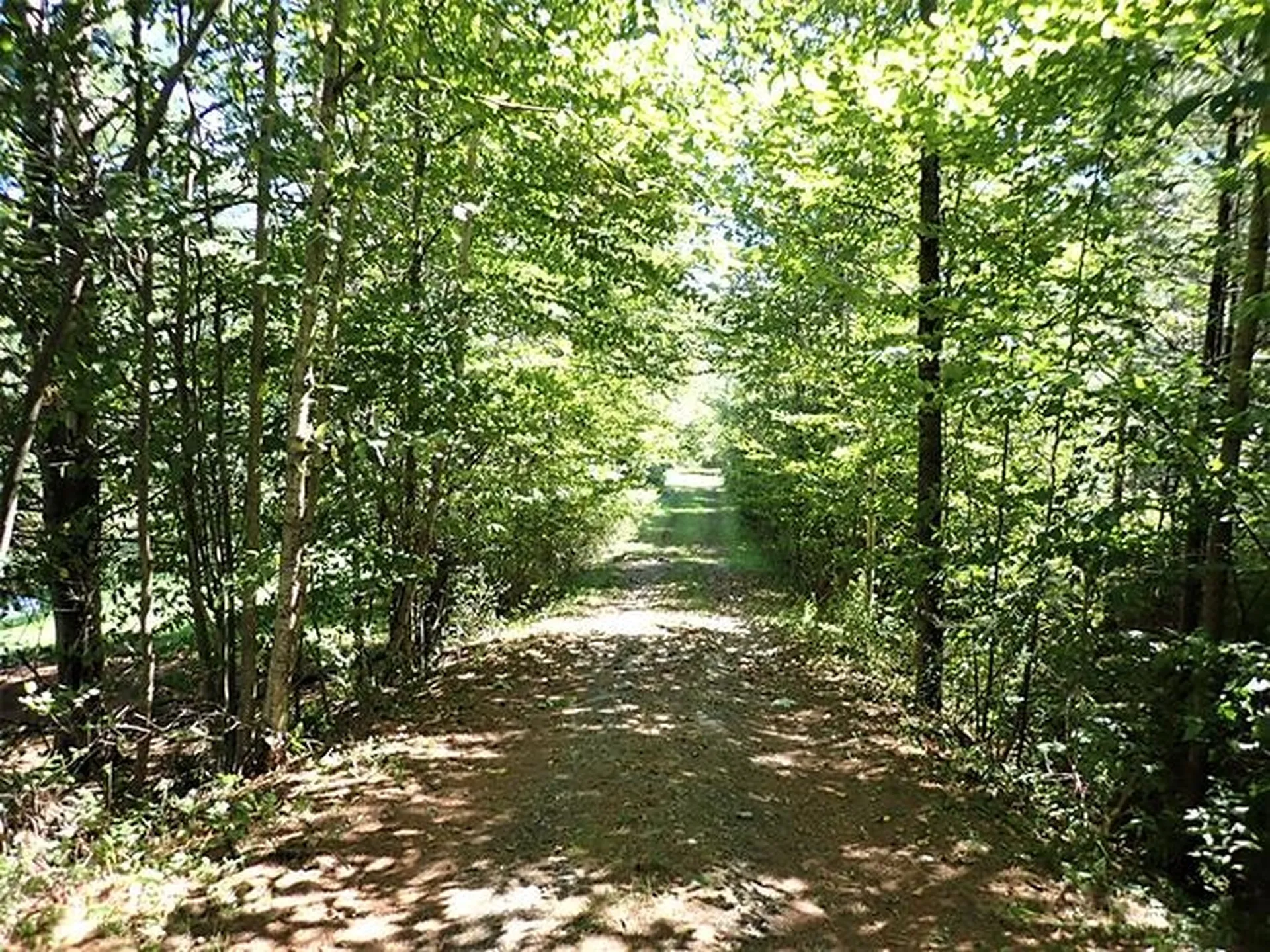 00 Mcintosh Hill Road Bethel VT 05060