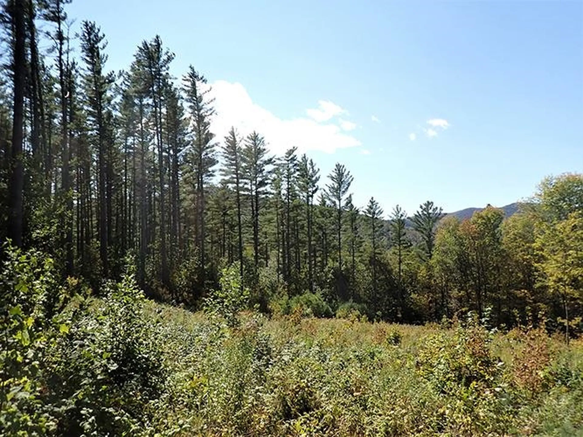 00 Mcintosh Hill Road Bethel VT 05060