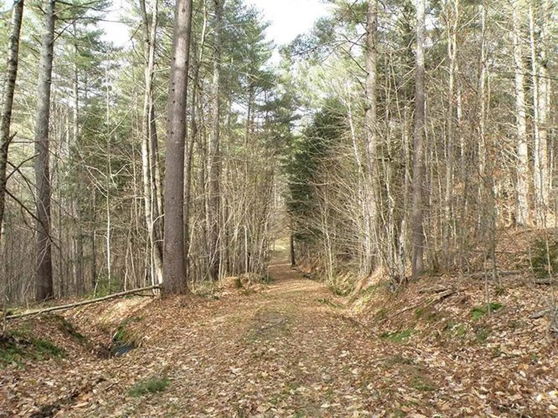 00 Mcintosh Hill Road Bethel VT 05060