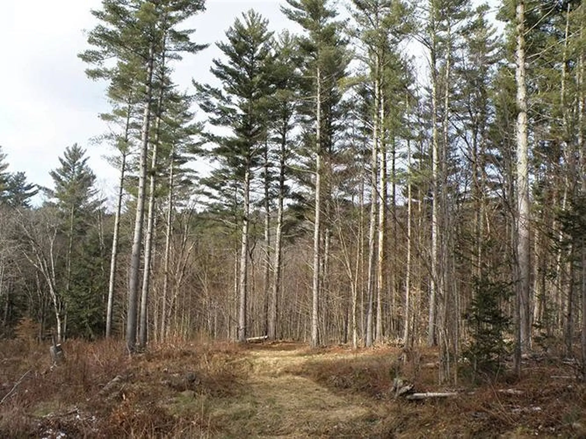00 Mcintosh Hill Road Bethel VT 05060