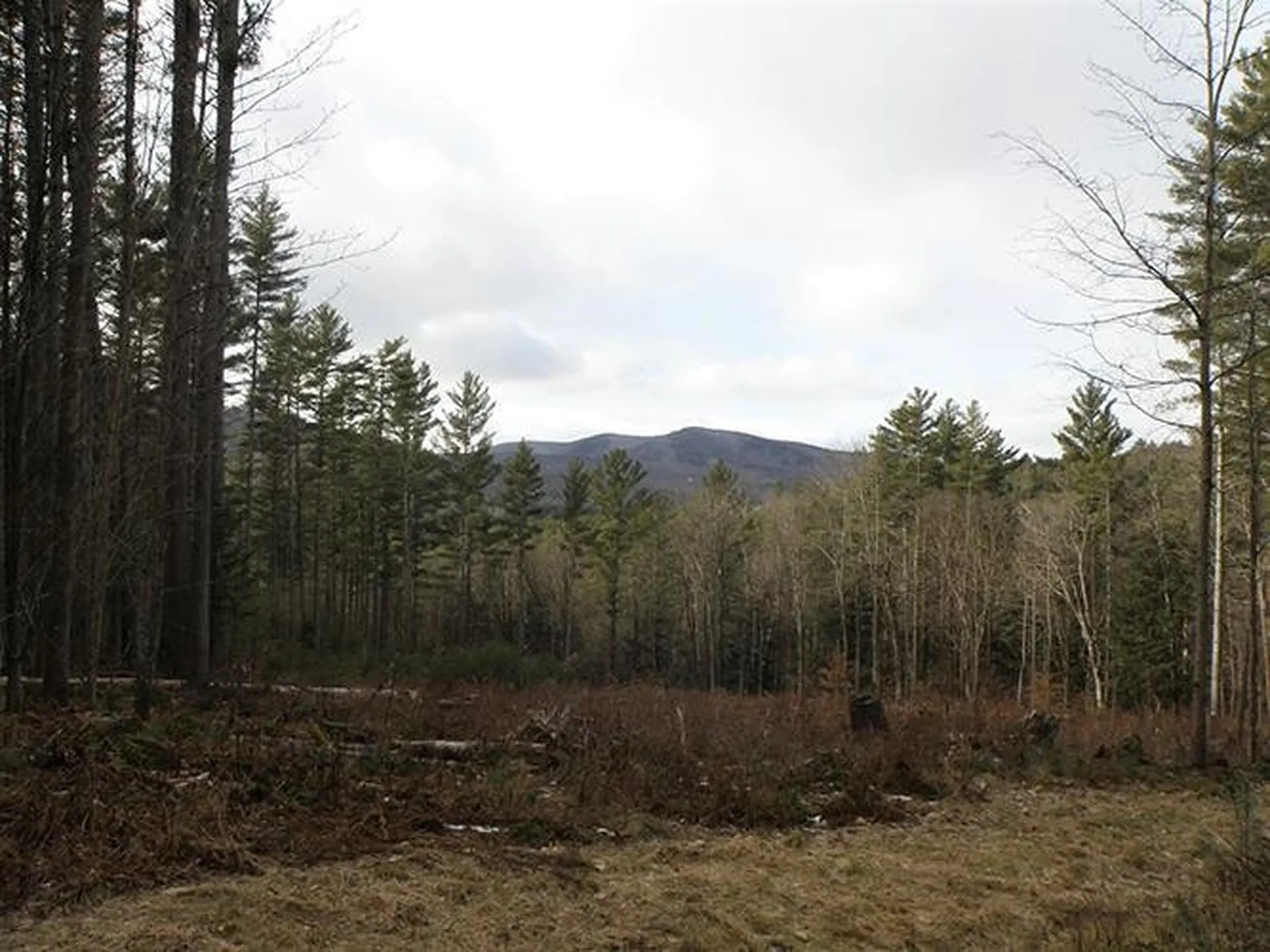 00 Mcintosh Hill Road Bethel VT 05060