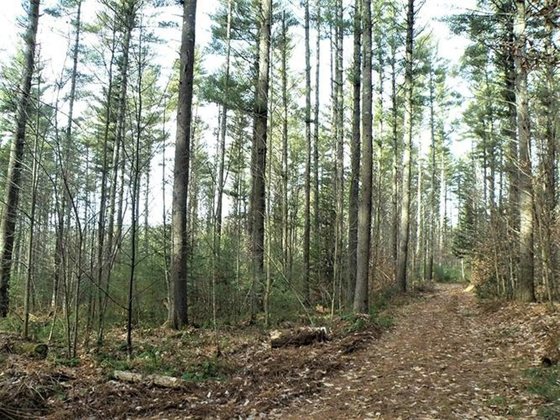 00 Mcintosh Hill Road Bethel VT 05060