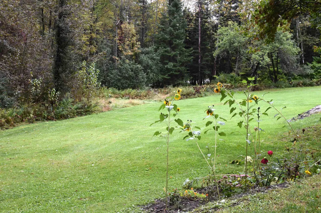 158 Mitchell Road Barre Town VT 05641