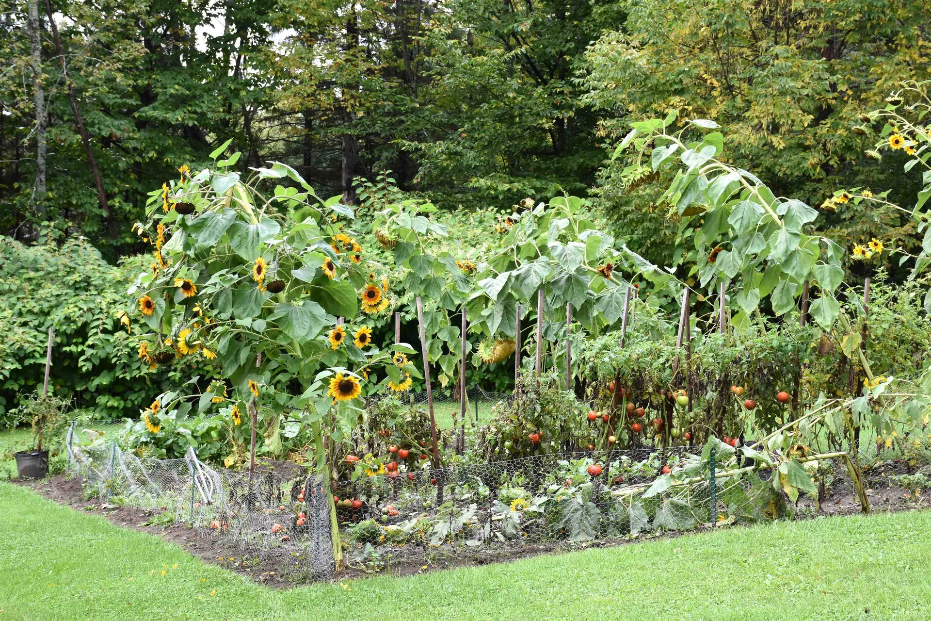158 Mitchell Road Barre Town VT 05641