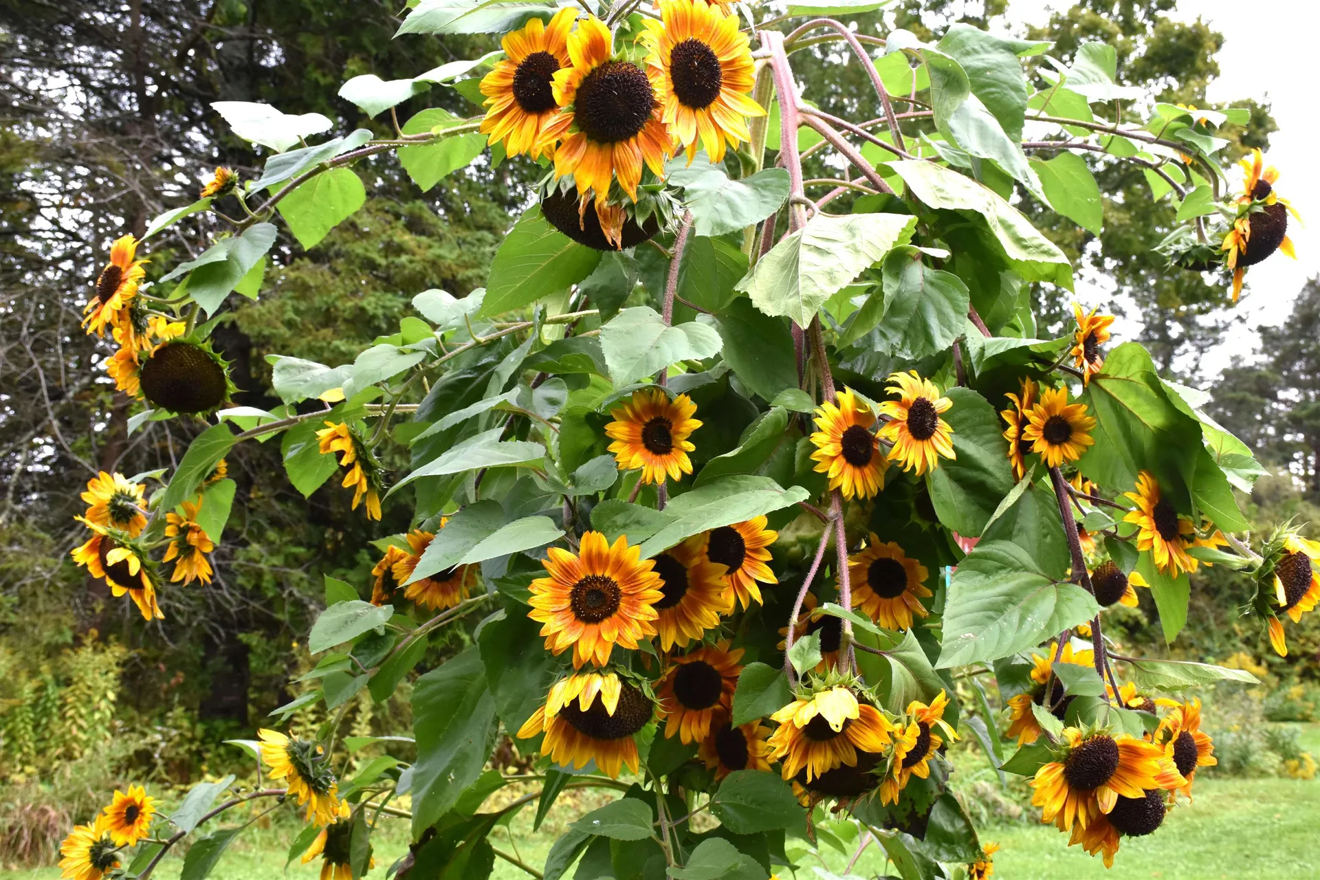 158 Mitchell Road Barre Town VT 05641