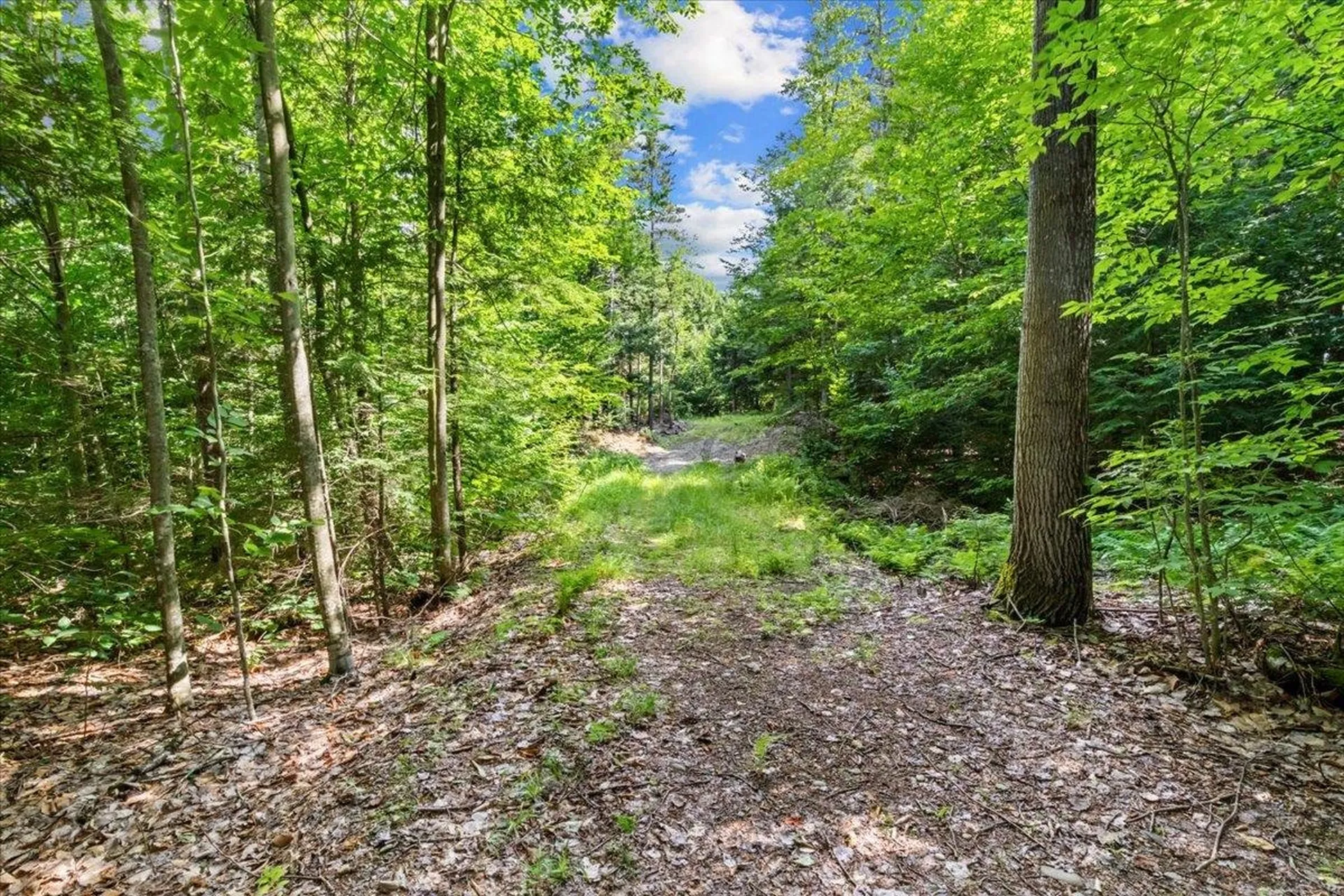 0 - Lot D Jeans Way Stowe VT 05672