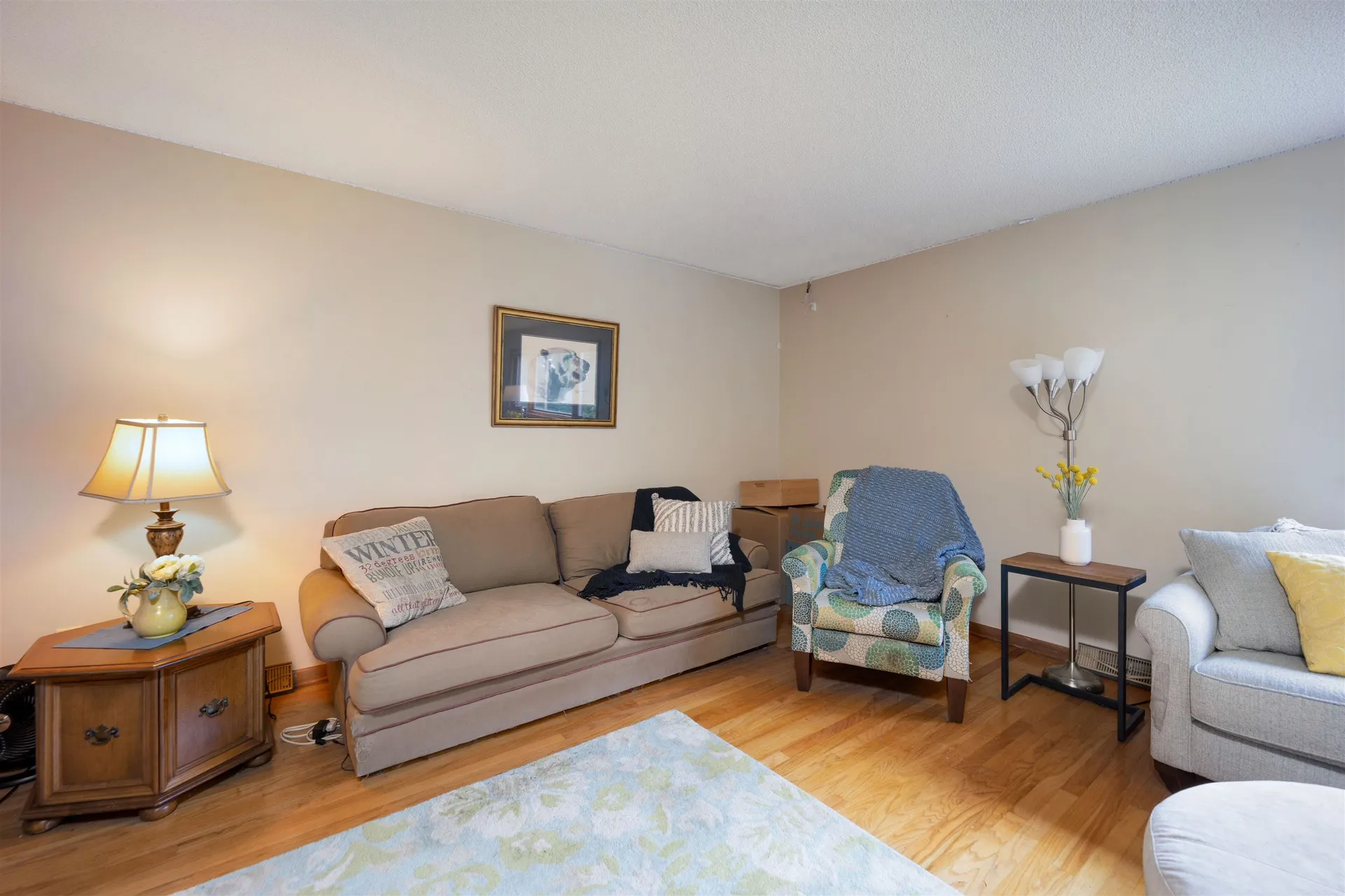 293 Collamer Circle Shelburne VT 05482