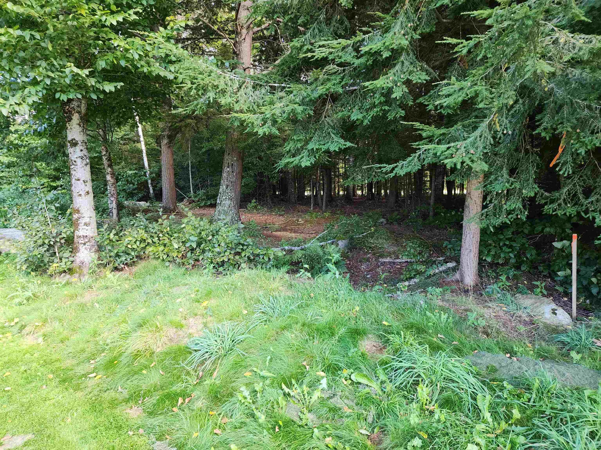 65 Greensward Drive Grantham NH 03753