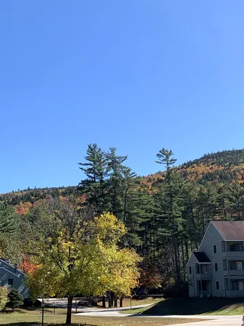 16f The Seasons At Attitash Road Bartlett NH 03812