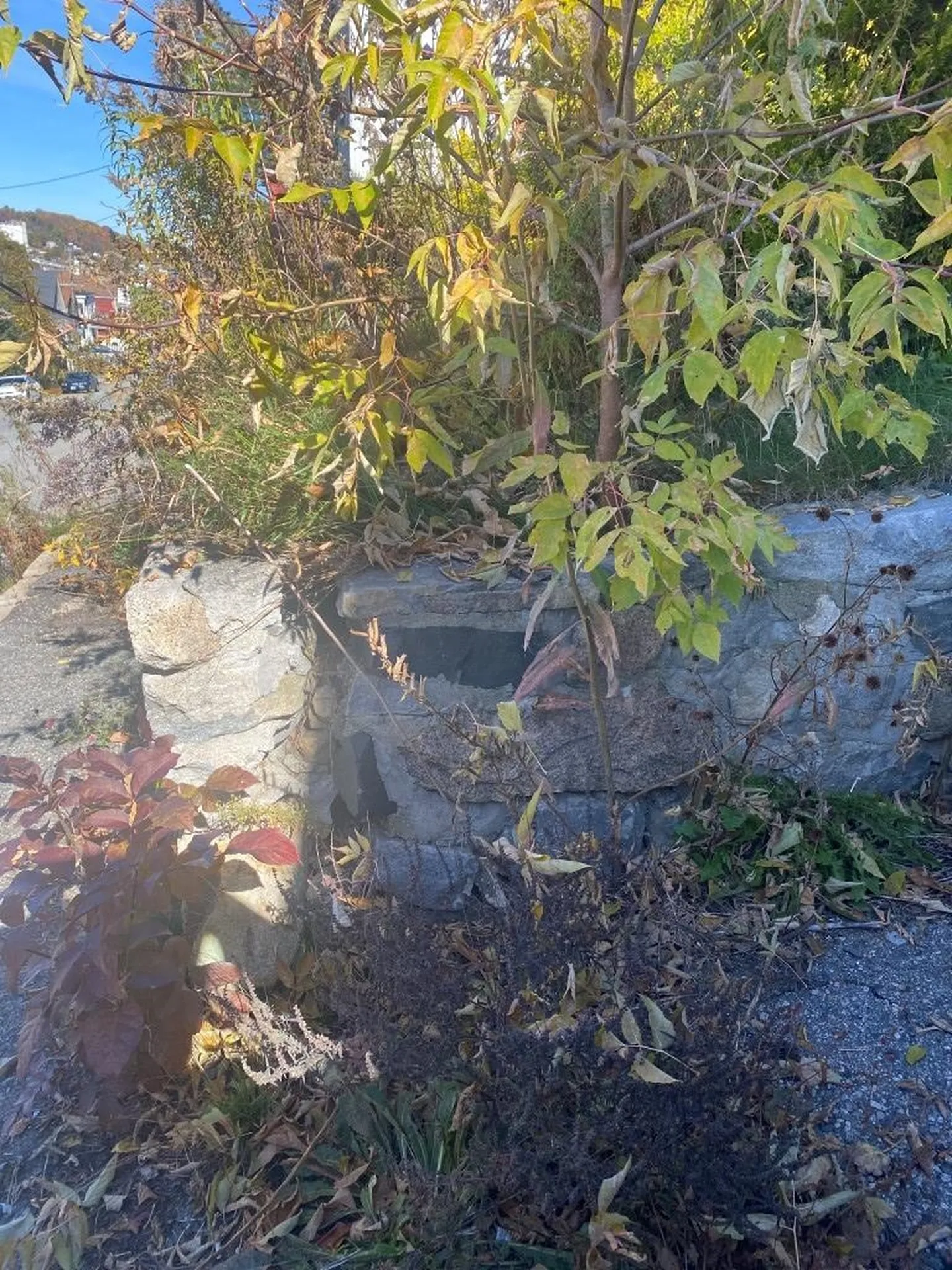 344 Burgess Street Berlin NH 03570
