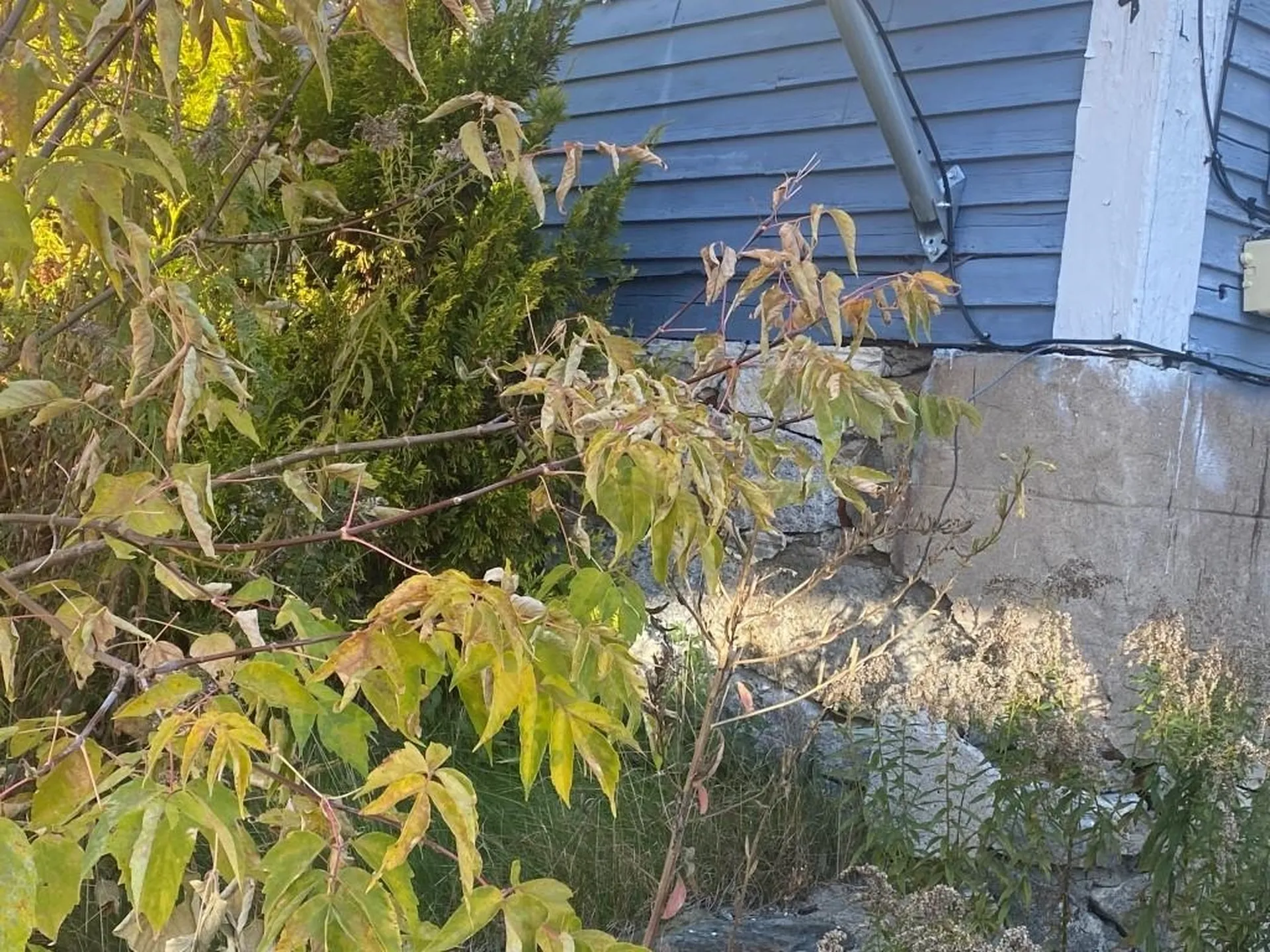 344 Burgess Street Berlin NH 03570