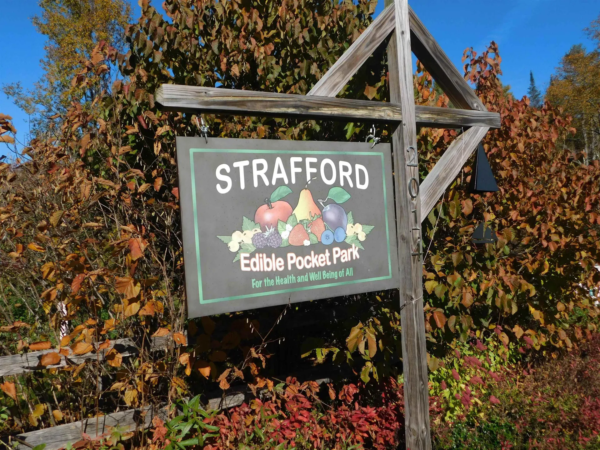 249 Vt Route 132 Strafford VT 05070