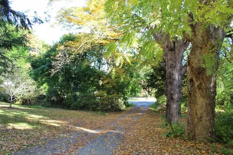 24 Paddock Road Springfield VT 05156