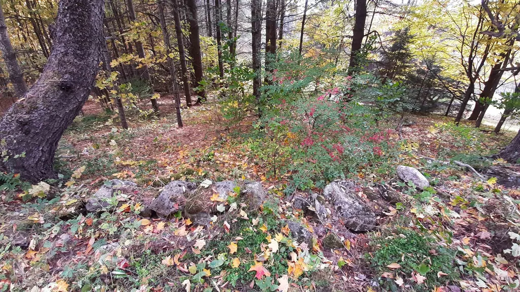 00 Tiffany Road Mount Holly VT 05730