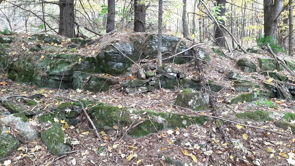 00 Tiffany Road Mount Holly VT 05730