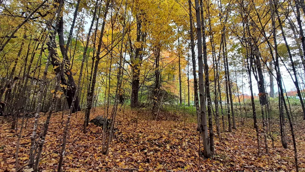 00 Tiffany Road Mount Holly VT 05730