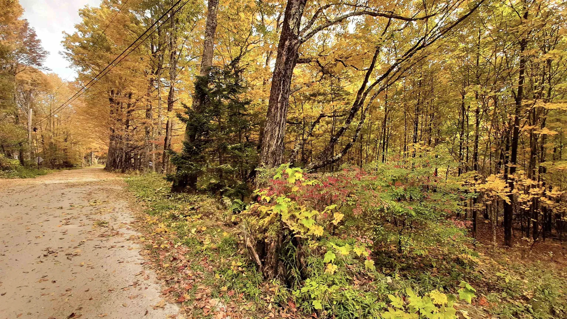 00 Tiffany Road Mount Holly VT 05730