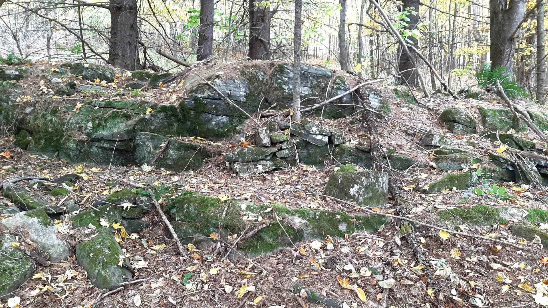 00 Tiffany Road Mount Holly VT 05730