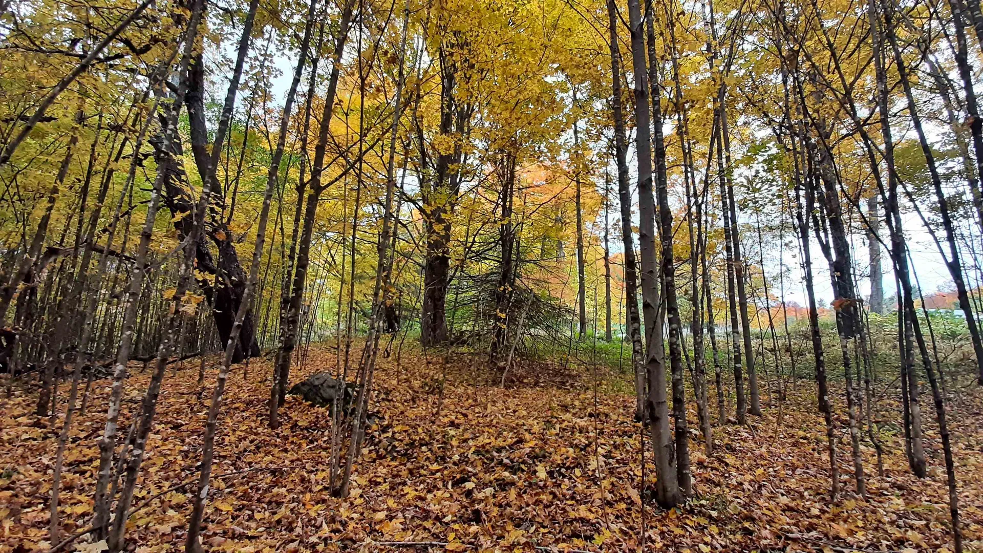 00 Tiffany Road Mount Holly VT 05730