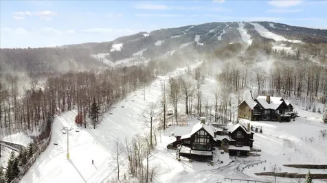71 Tamarack Road Stratton VT 05155