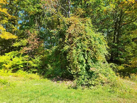 14 Larch Drive Gilford NH 03249