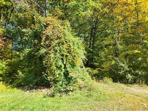 14 Larch Drive Gilford NH 03249
