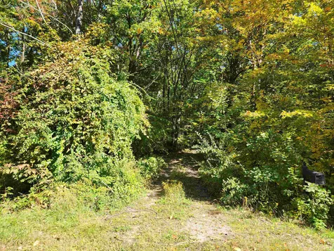 14 Larch Drive Gilford NH 03249