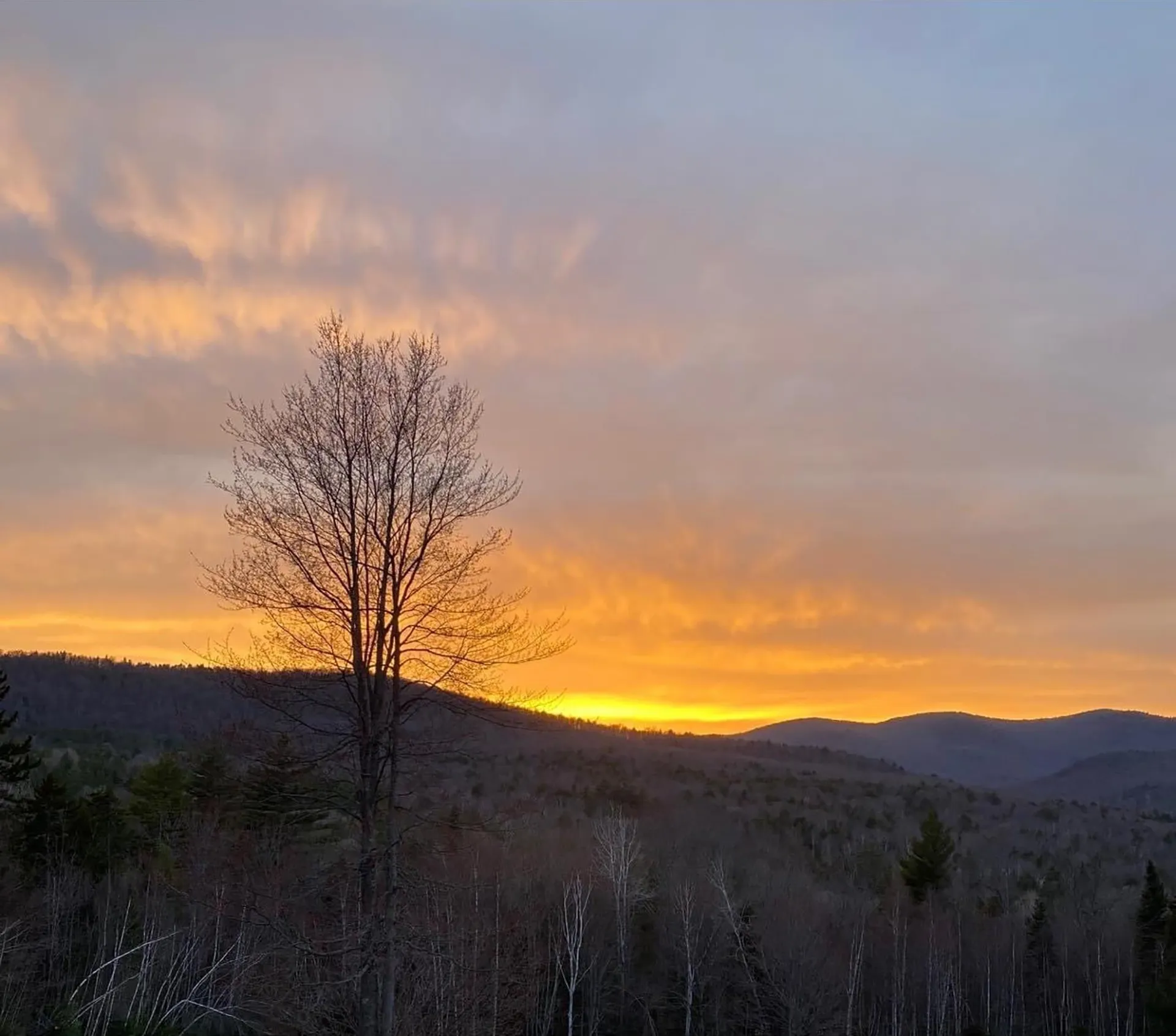 772 Dartt Hill Road Bethel VT 05032