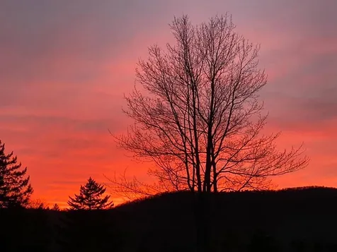 772 Dartt Hill Road Bethel VT 05032