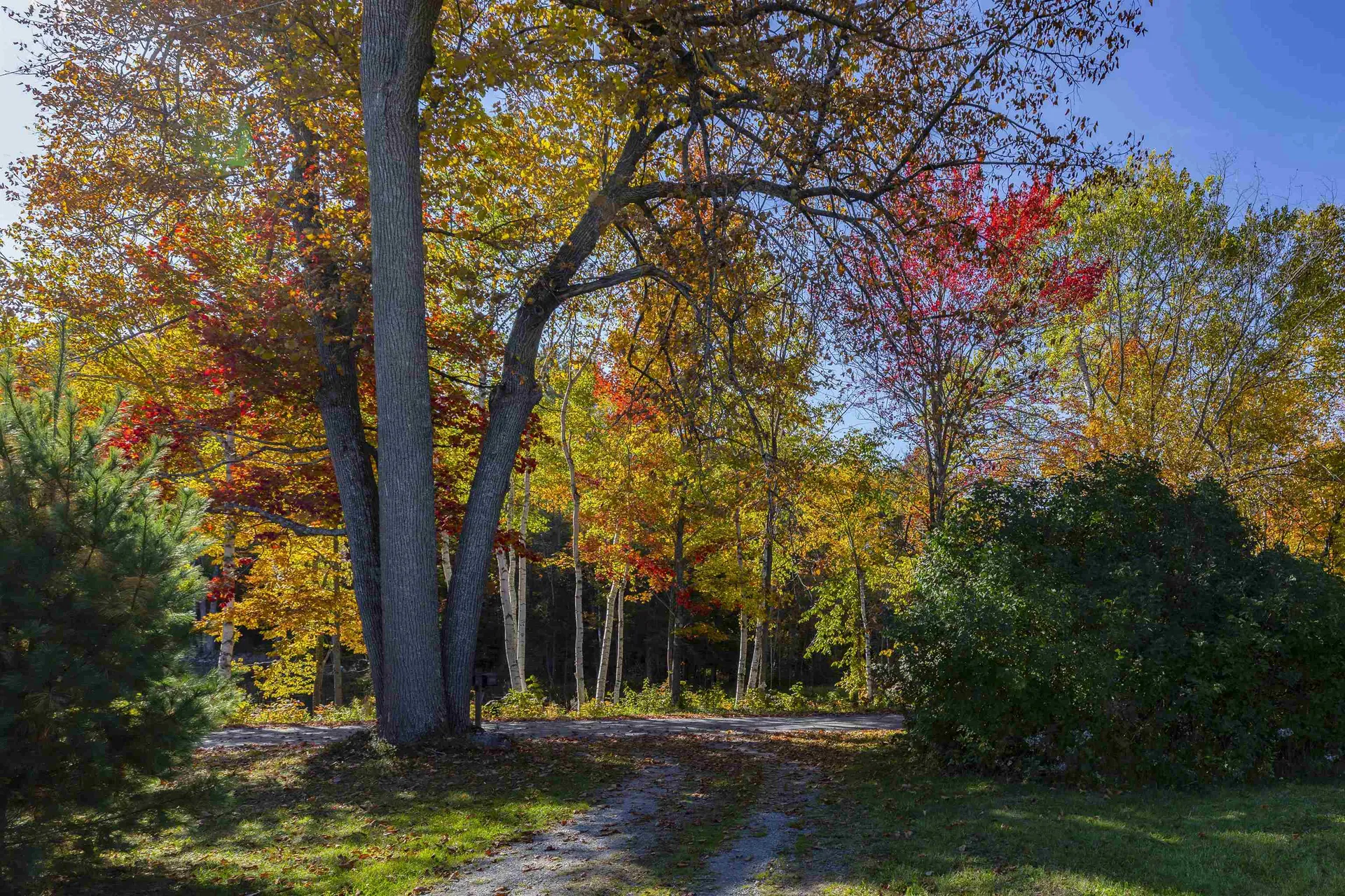 176 Old Stagecoach Road Bradford VT 05033