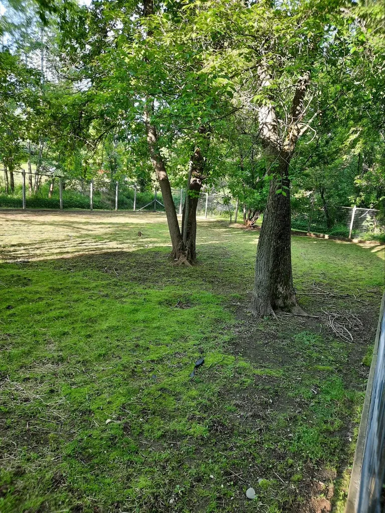 180 Main Street Colebrook NH 03576